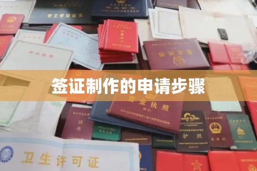 宣化签证制作的申请步骤