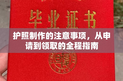 宣化护照制作的注意事项，从申请到领取的全程指南
