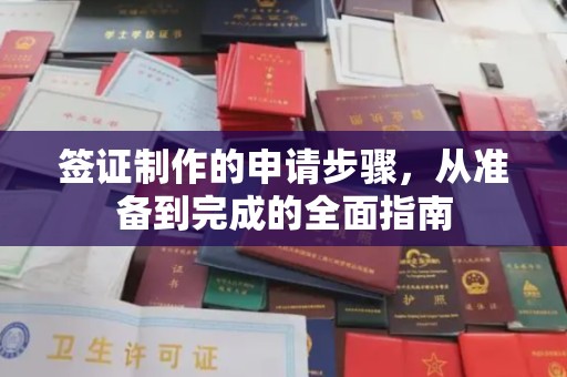 宣化签证制作的申请步骤，从准备到完成的全面指南