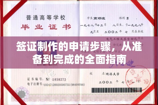 宣化签证制作的申请步骤，从准备到完成的全面指南
